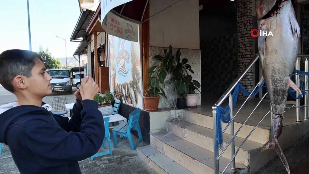 İnsan boyunda dev balık, görenlere küçük dilini yutturdu! O kentte sergileniyor 7